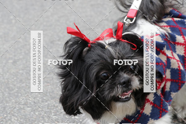 Buy your photos of the event13� C�ominhada - Santos on Fotop