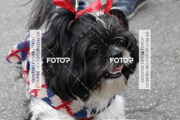 Buy your photos of the event13� C�ominhada - Santos on Fotop