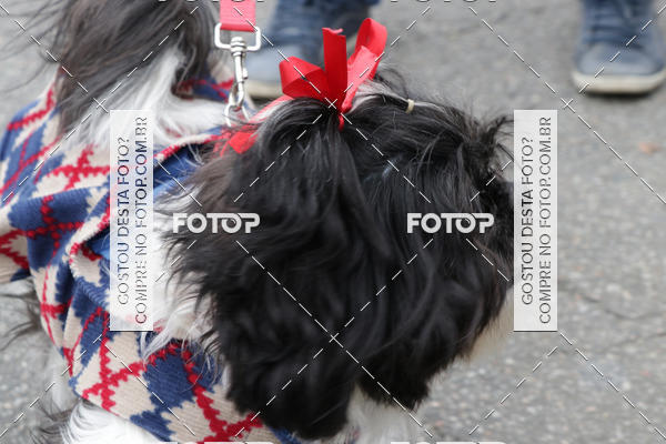 Buy your photos of the event13� C�ominhada - Santos on Fotop