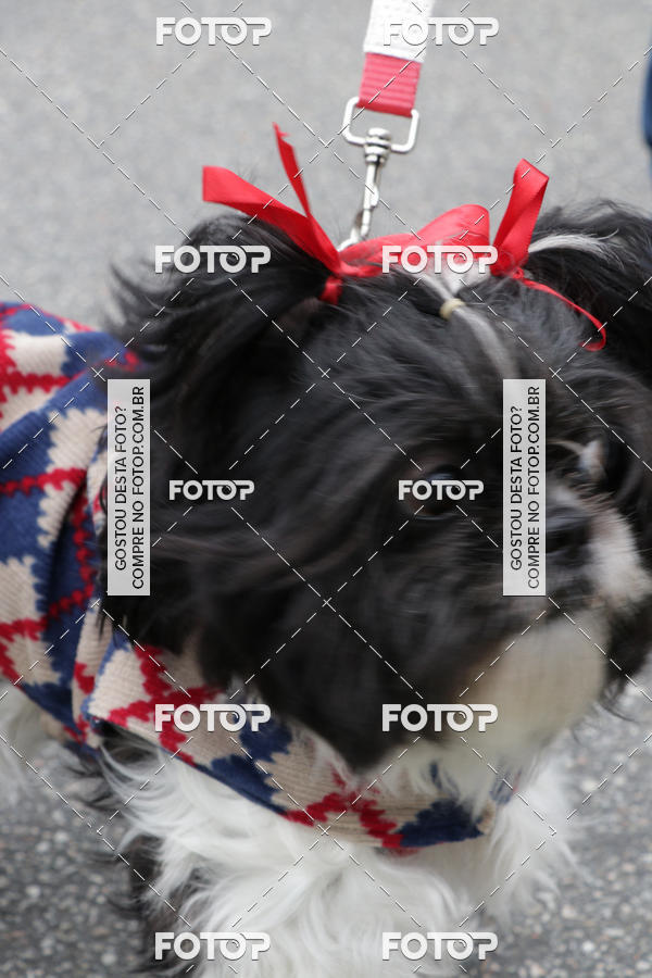 Buy your photos of the event13� C�ominhada - Santos on Fotop