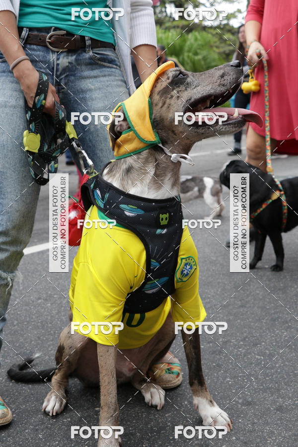 Buy your photos of the event13� C�ominhada - Santos on Fotop