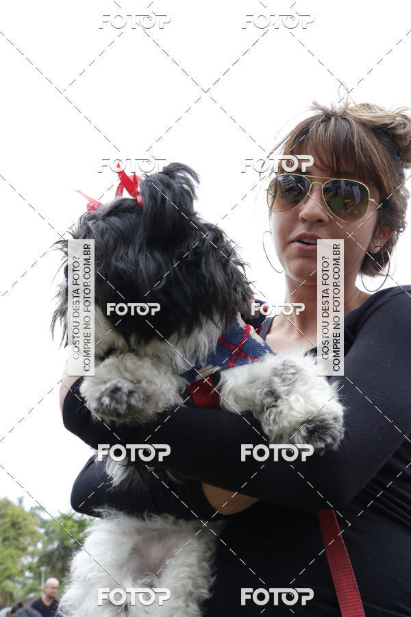 Buy your photos of the event13� C�ominhada - Santos on Fotop