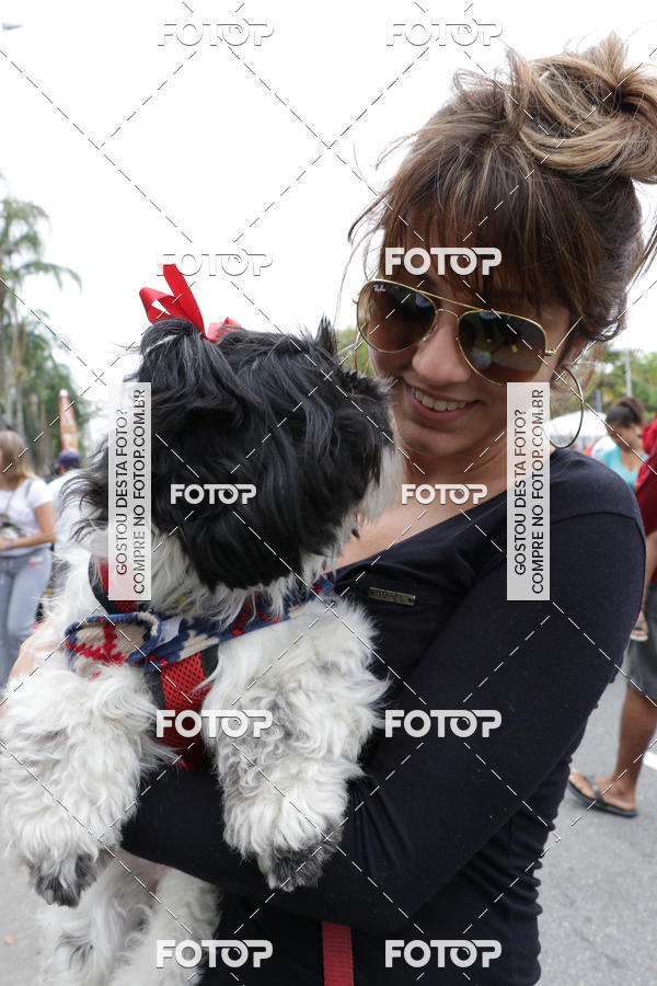 Buy your photos of the event13� C�ominhada - Santos on Fotop