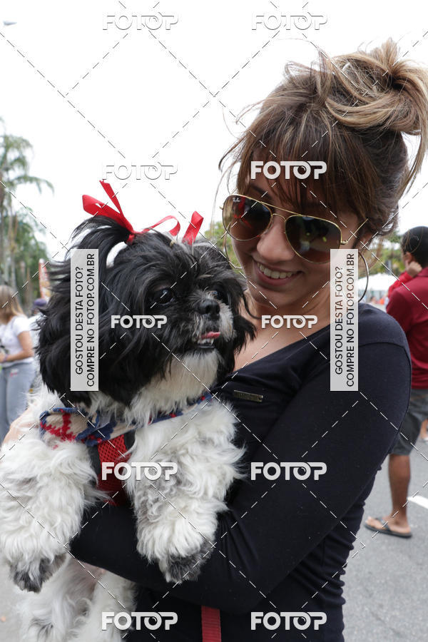 Buy your photos of the event13� C�ominhada - Santos on Fotop