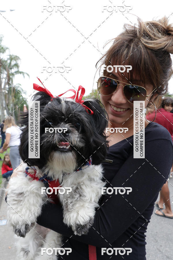 Buy your photos of the event13� C�ominhada - Santos on Fotop
