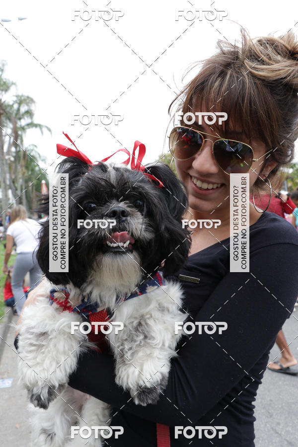 Buy your photos of the event13� C�ominhada - Santos on Fotop