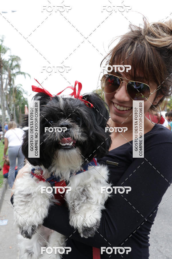 Buy your photos of the event13� C�ominhada - Santos on Fotop