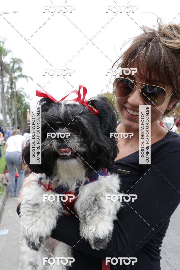 Buy your photos of the event13� C�ominhada - Santos on Fotop