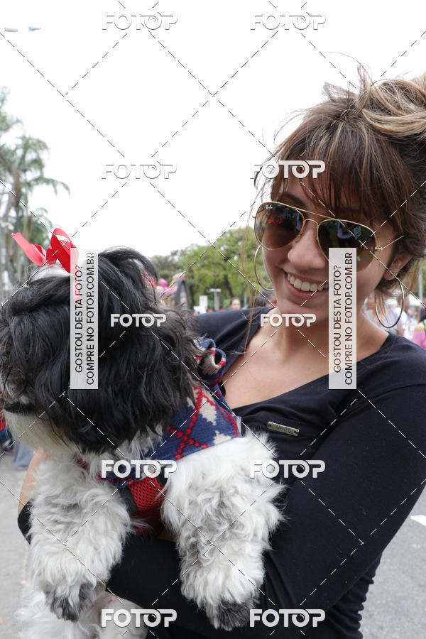 Buy your photos of the event13� C�ominhada - Santos on Fotop