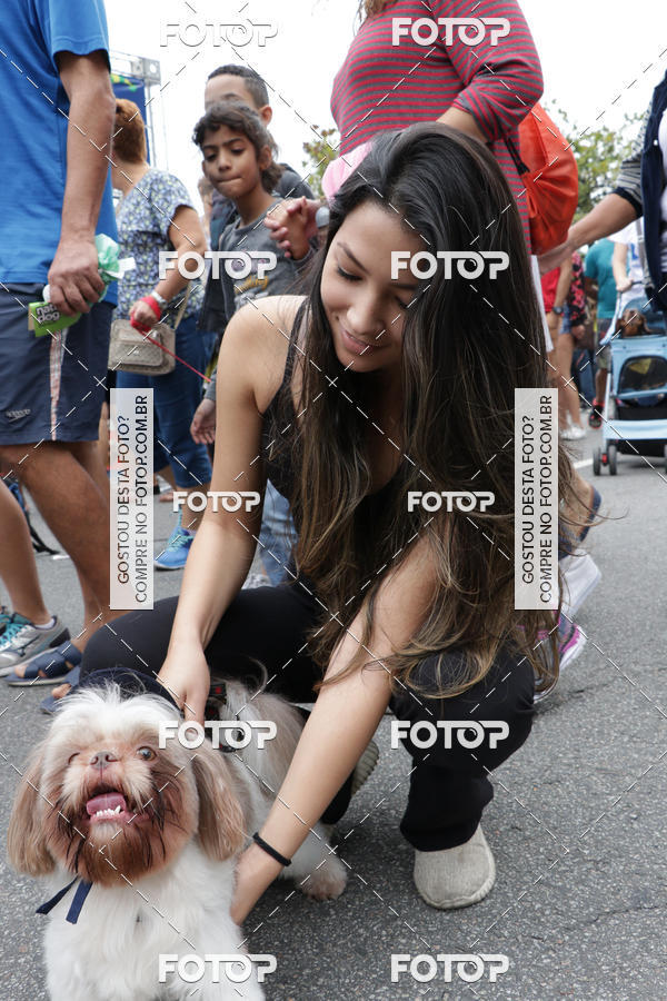 Buy your photos of the event13� C�ominhada - Santos on Fotop