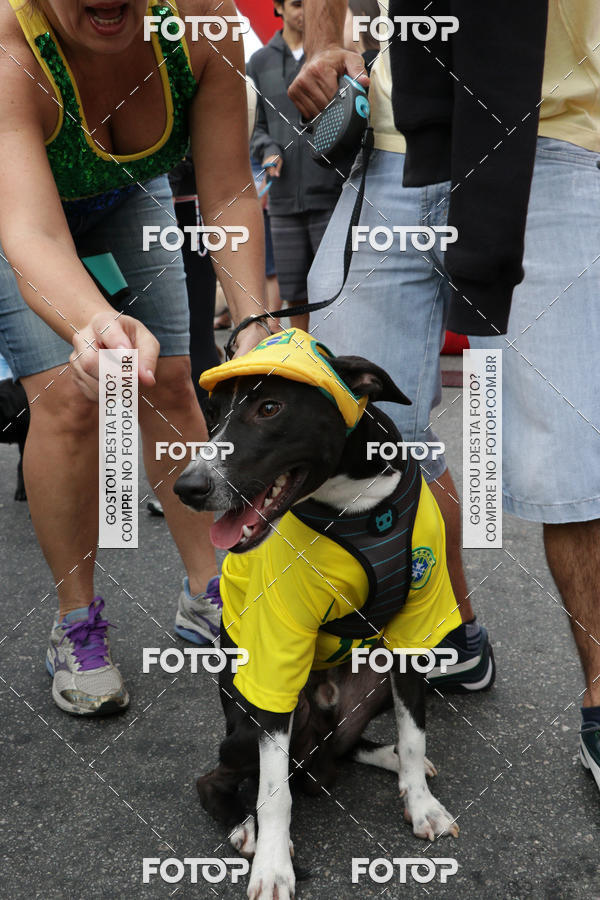 Buy your photos of the event13� C�ominhada - Santos on Fotop