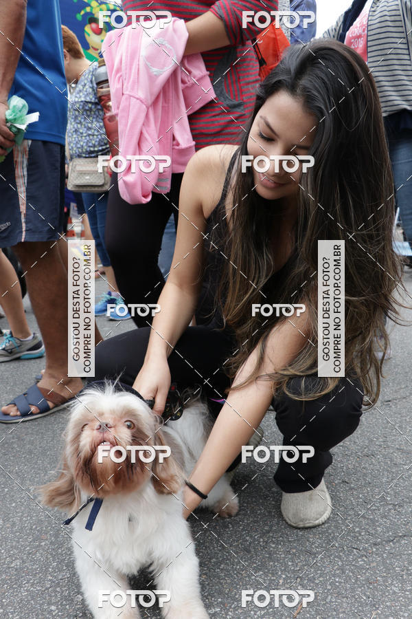 Buy your photos of the event13� C�ominhada - Santos on Fotop