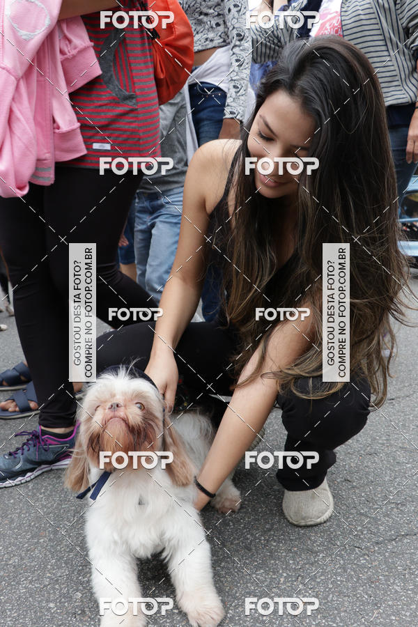 Buy your photos of the event13� C�ominhada - Santos on Fotop