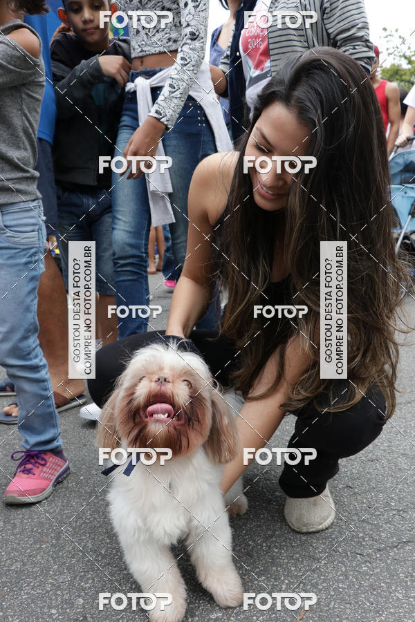 Buy your photos of the event13� C�ominhada - Santos on Fotop