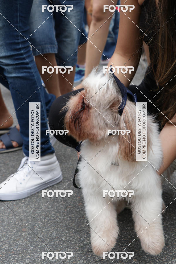 Buy your photos of the event13� C�ominhada - Santos on Fotop