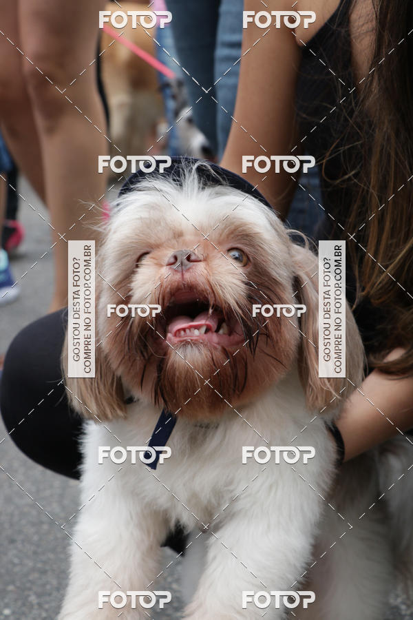 Buy your photos of the event13� C�ominhada - Santos on Fotop