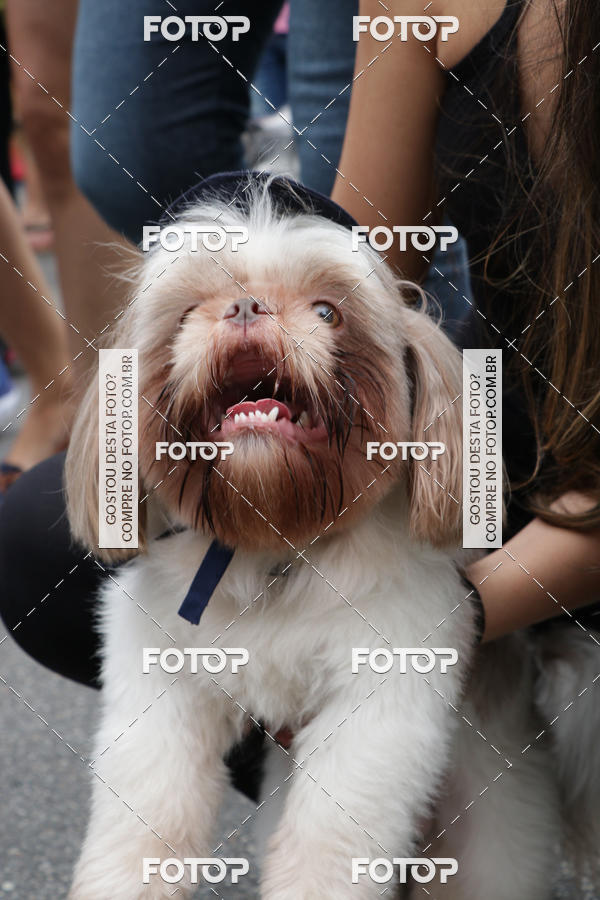 Buy your photos of the event13� C�ominhada - Santos on Fotop