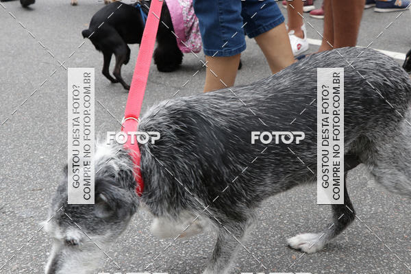 Buy your photos of the event13� C�ominhada - Santos on Fotop