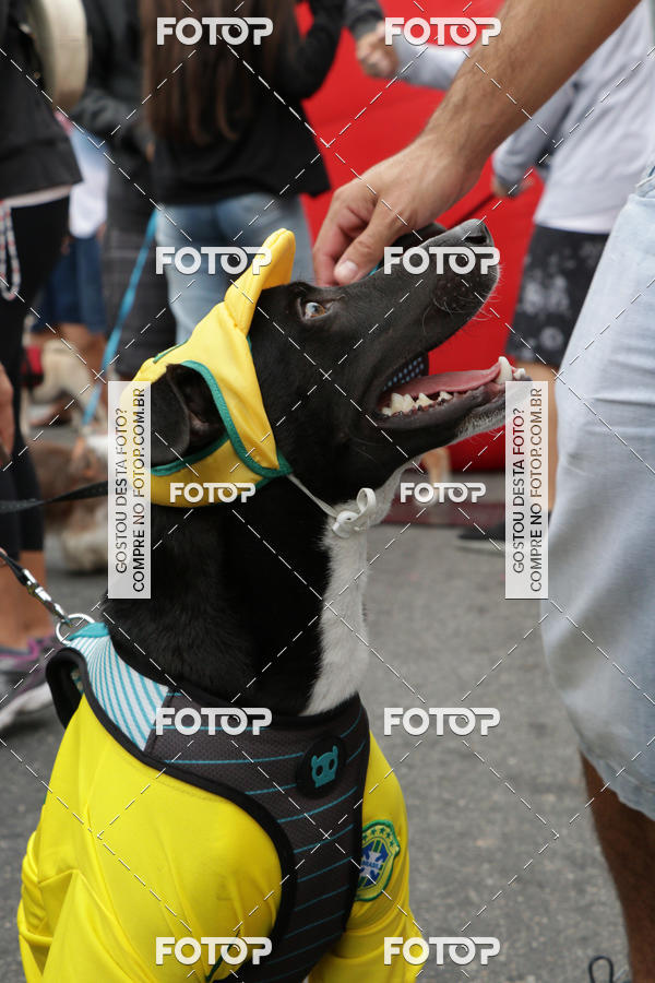 Buy your photos of the event13� C�ominhada - Santos on Fotop