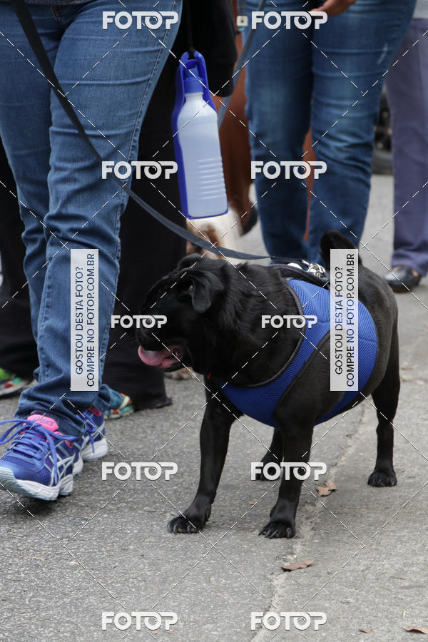 Buy your photos of the event13� C�ominhada - Santos on Fotop