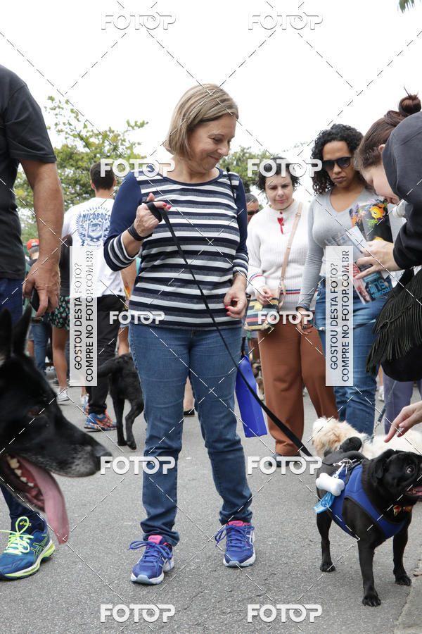 Buy your photos of the event13� C�ominhada - Santos on Fotop