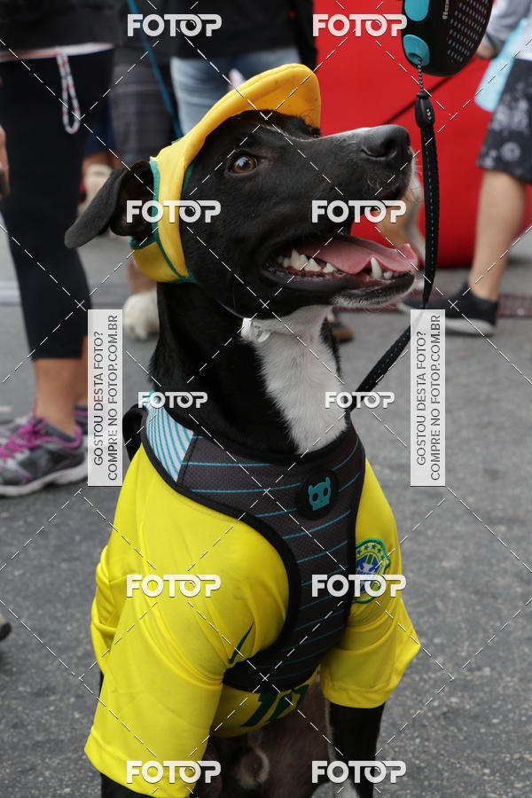 Buy your photos of the event13� C�ominhada - Santos on Fotop