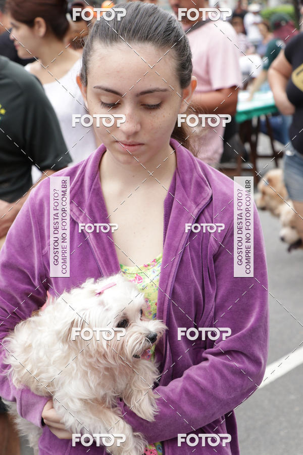 Buy your photos of the event13� C�ominhada - Santos on Fotop