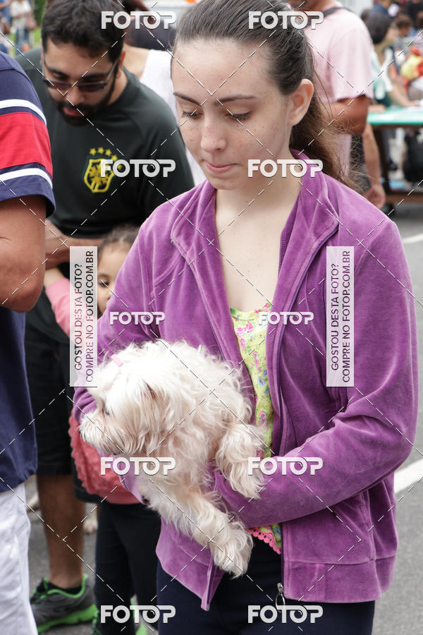 Buy your photos of the event13� C�ominhada - Santos on Fotop