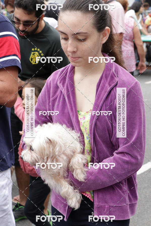 Buy your photos of the event13� C�ominhada - Santos on Fotop