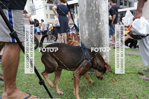 Buy your photos of the event13� C�ominhada - Santos on Fotop