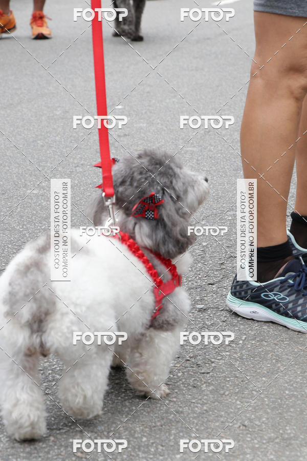 Buy your photos of the event13� C�ominhada - Santos on Fotop