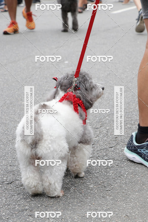 Buy your photos of the event13� C�ominhada - Santos on Fotop