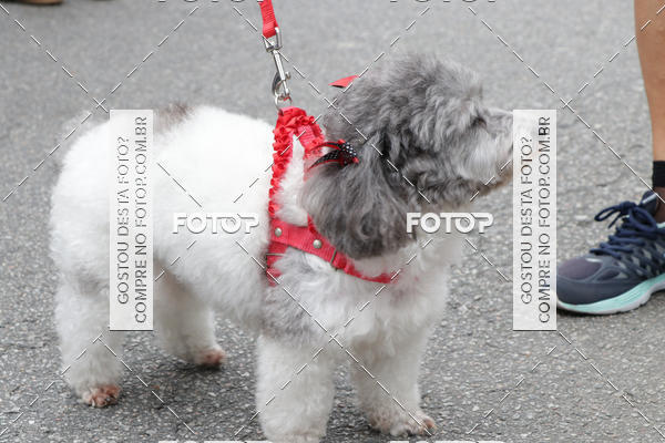 Buy your photos of the event13� C�ominhada - Santos on Fotop