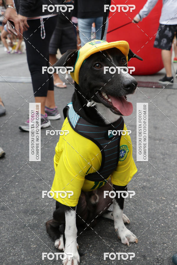 Buy your photos of the event13� C�ominhada - Santos on Fotop