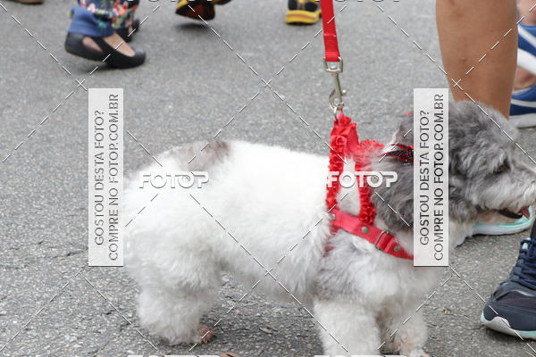 Buy your photos of the event13� C�ominhada - Santos on Fotop