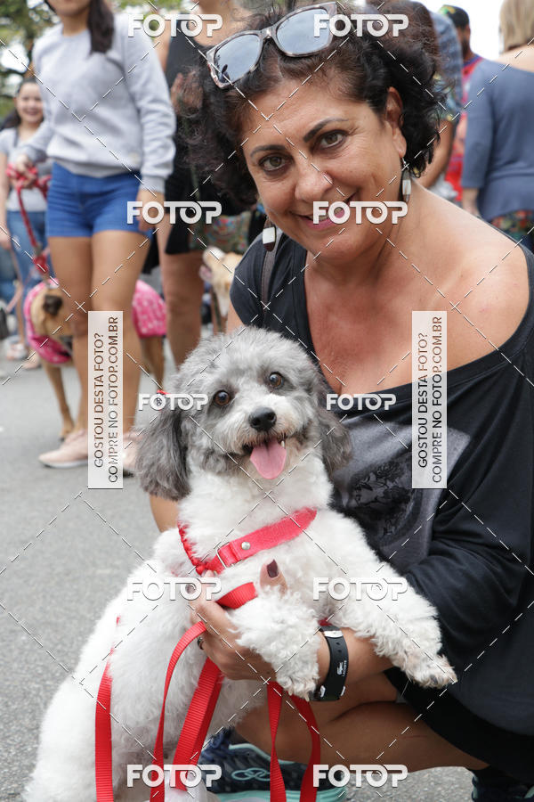 Buy your photos of the event13� C�ominhada - Santos on Fotop