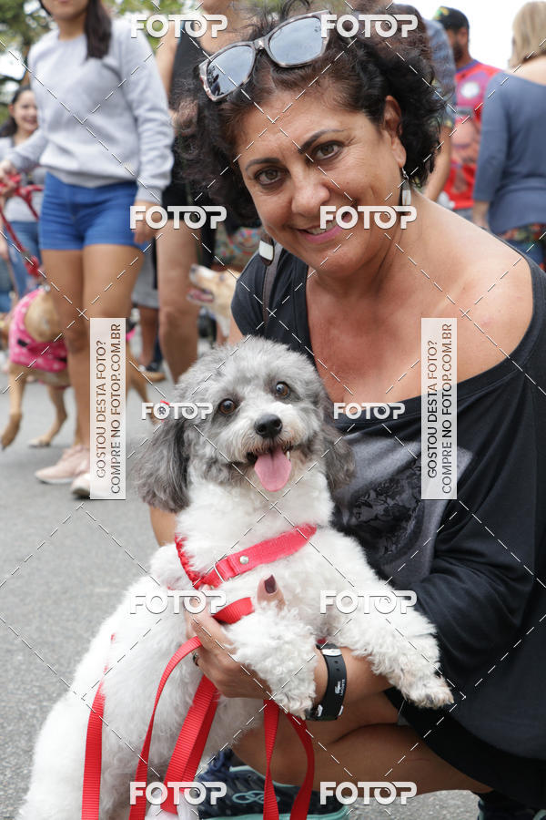 Buy your photos of the event13� C�ominhada - Santos on Fotop