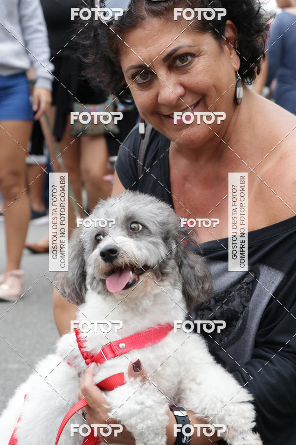 Buy your photos of the event13� C�ominhada - Santos on Fotop