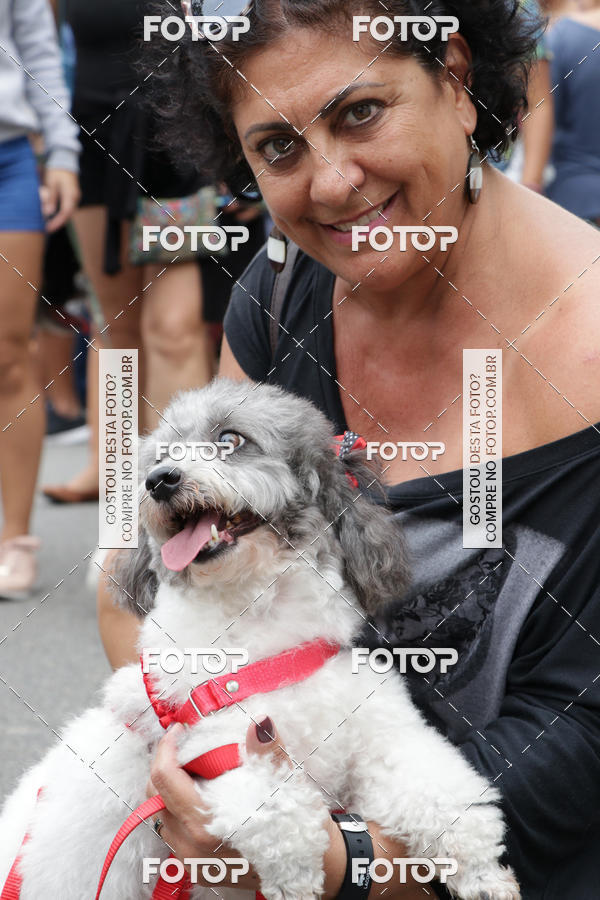 Buy your photos of the event13� C�ominhada - Santos on Fotop