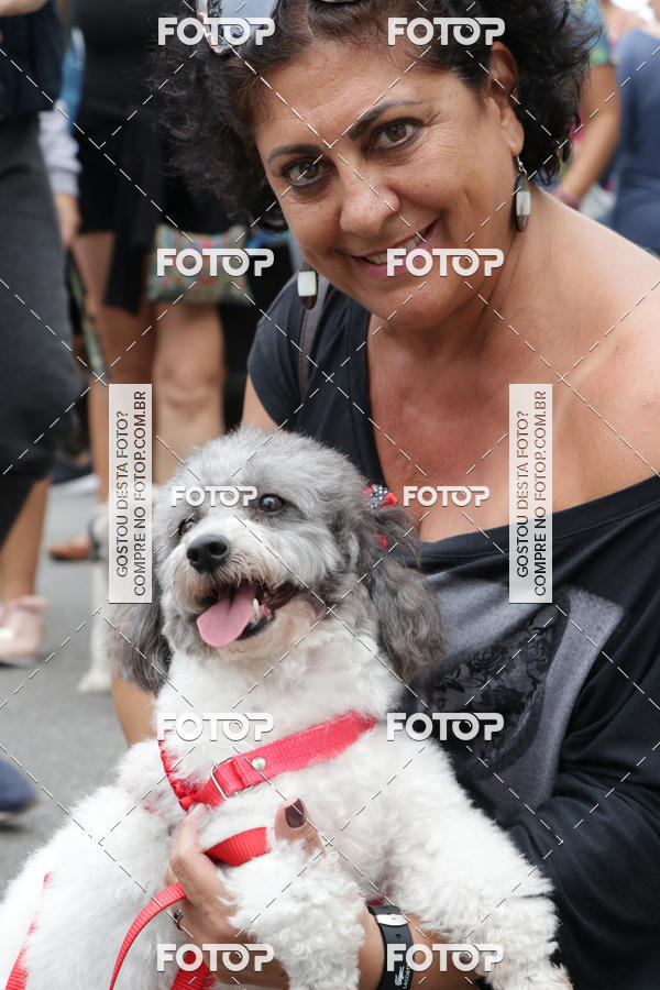 Buy your photos of the event13� C�ominhada - Santos on Fotop