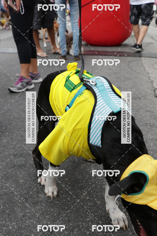 Buy your photos of the event13� C�ominhada - Santos on Fotop