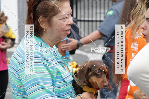 Buy your photos of the event13 Cominhada - Santos on Fotop
