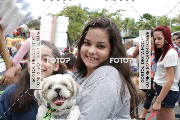 Buy your photos of the event13� C�ominhada - Santos on Fotop