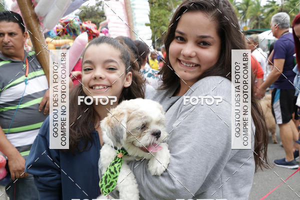 Buy your photos of the event13� C�ominhada - Santos on Fotop