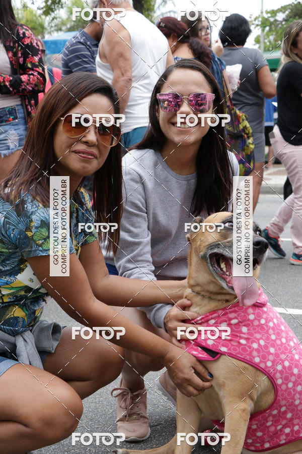 Buy your photos of the event13� C�ominhada - Santos on Fotop