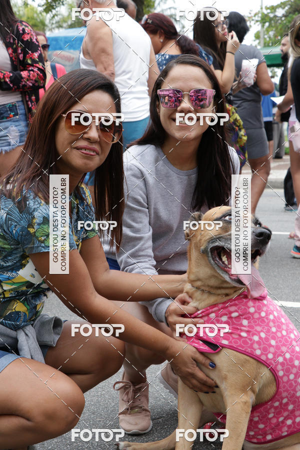 Buy your photos of the event13� C�ominhada - Santos on Fotop