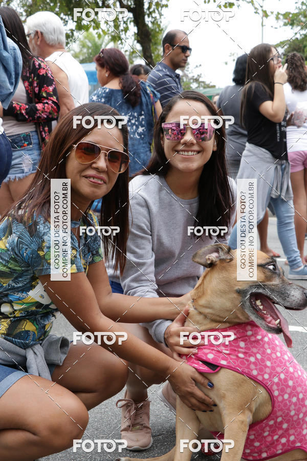 Buy your photos of the event13� C�ominhada - Santos on Fotop