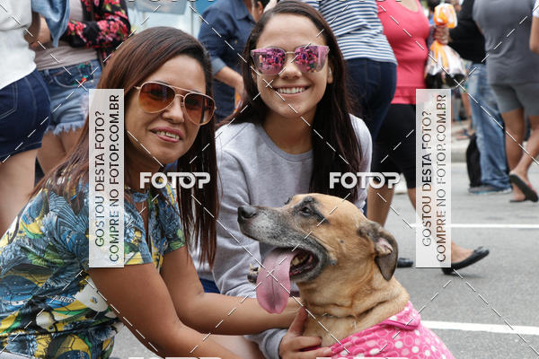 Buy your photos of the event13� C�ominhada - Santos on Fotop