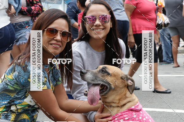 Buy your photos of the event13� C�ominhada - Santos on Fotop