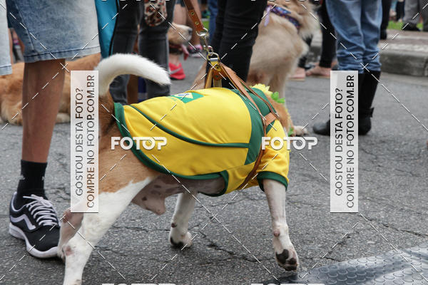 Buy your photos of the event13� C�ominhada - Santos on Fotop